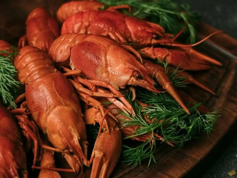 Варёные раки с укропом на подаче